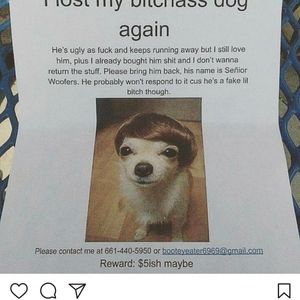 Meet your Posher, Rocky